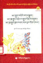 四续佛语说、根本续释  续义更详、根本续注疏·口述义明  藏文 封面