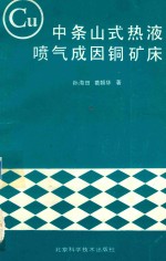 中条山式热液喷气成因铜矿床 封面