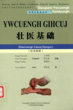 实用壮医药丛书  壮医基础  壮汉双语 封面