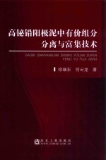 高铋铅阳极泥中有价组分分离与富集技术 封面