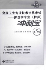 2020全国卫生专业技术资格考试  护理学专业（护师）冲刺宝 封面