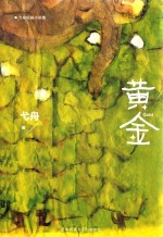 黄金  弋舟短篇小说集 封面