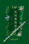 校园植物图鉴 封面