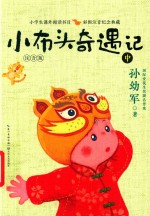小布头奇遇记  中  注音版 封面