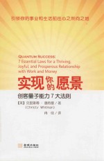 实现你的愿景 封面