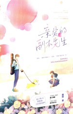 亲爱的副本先生 封面