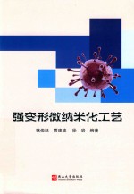 强变形微纳米化工艺 封面