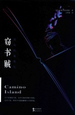 外国文学小说系列  窃书贼  消失的“盖茨比” 封面