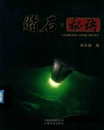 赌石秘诀 封面
