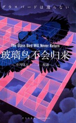 玻璃鸟不会归来 封面