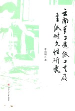 云南手工造纸工艺及手工纸耐久性研究 封面