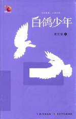 白鸽少年 封面