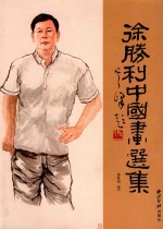 徐胜利中国画选集 封面