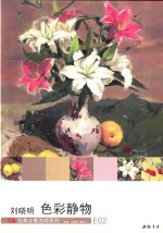 刘晓明色彩静物 封面
