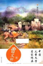 童年的笑与泪 封面