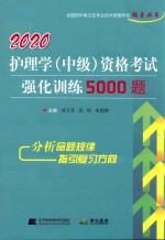2020护理学（中级）资格考试强化训练5000题 封面