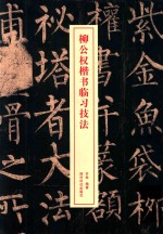 柳公权楷书临习技法 封面