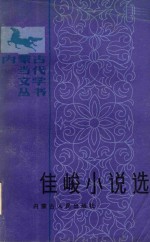 佳峻小说选 封面