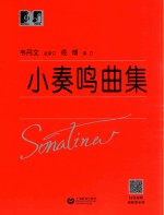 小奏鸣曲集 封面