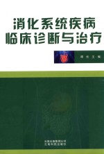 消化系统疾病临床诊断与治疗 封面