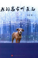 我的名字叫杂毛 封面