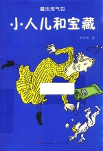 小人儿和宝藏 封面