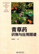 青草药识别与应用图谱 封面