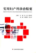实用妇产科诊治精要 封面