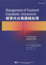 根管内分离器械处理 封面