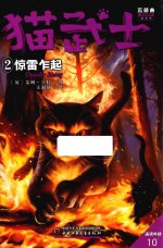 惊雷乍起 封面
