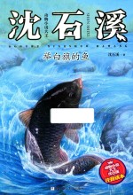 举白旗的鱼 封面