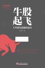 牛股起飞  主升浪实盘操作技巧 封面