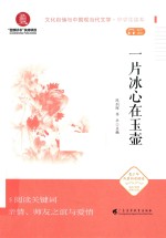 一片冰心在玉壶 封面