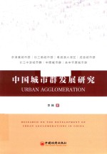中国城市群发展研究 封面