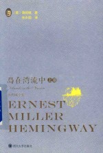 岛在湾流中  上 封面