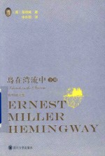 岛在湾流中  下 封面