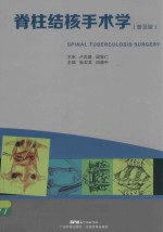 脊柱结核手术学  普及版 封面