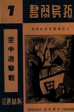空中游击战  大炮轰声就在卧榻旁 封面