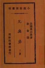 兄与弟  上 封面