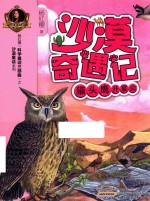 沙漠奇遇记  猫头鹰开宴会 封面