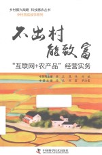 不出村能致富  “互联网  农产品”经营实务 封面