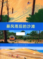 暴风雨后的沙滩 封面