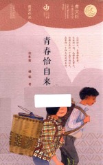 青春恰自来 封面