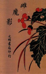 雌魔影  儆世小说 封面