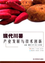现代川薯产业发展与技术创新 封面