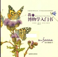 我的蝴蝶书 封面