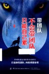 带团队 电子书封面
