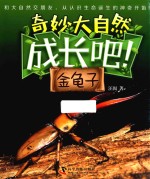 成长吧！金龟子 封面
