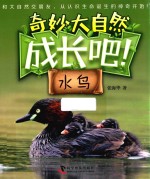 成长吧！水鸟 封面