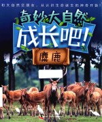 成长吧！麋鹿 封面